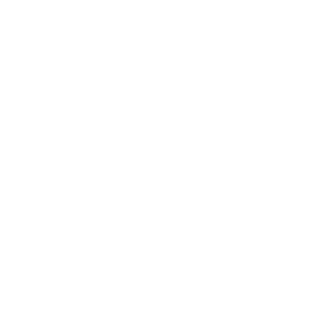 Logo de l'IESE