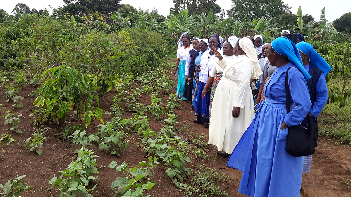Sisters’ Blended Value Project: Social Enterprise Programme - Growth Module III - Uganda